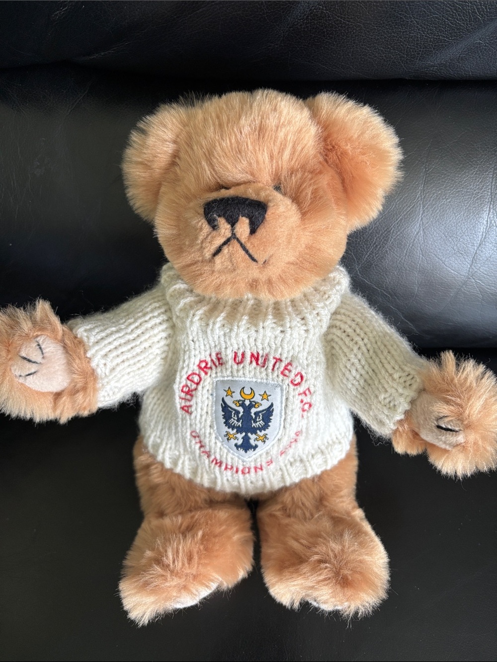 🍀3 for $25🍀 Teddy Bear from Dublin Ireland Foorball Soccer
